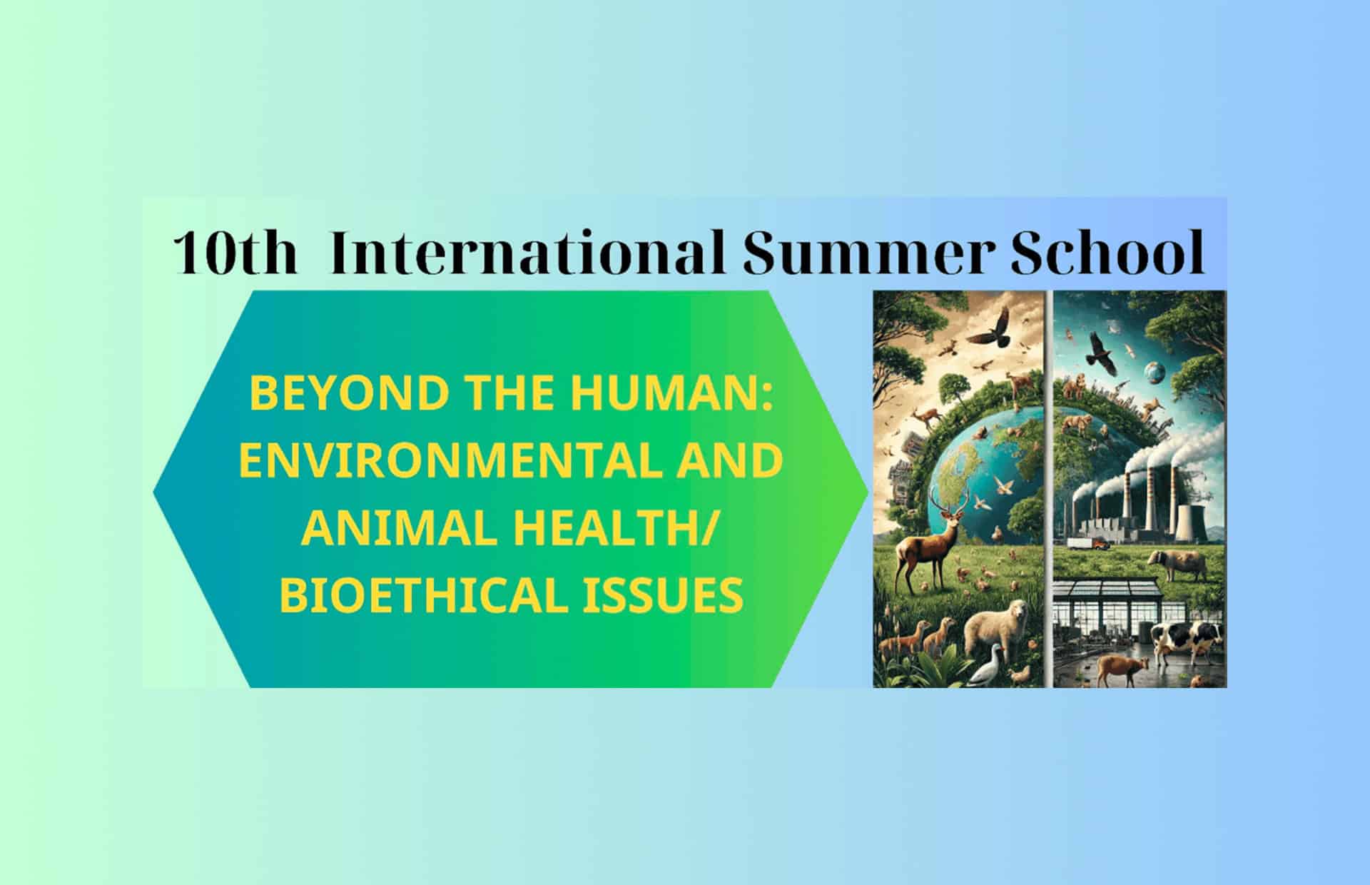 Beyond the human: environmental and animal health/ bioethical issues
