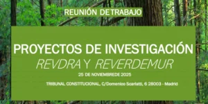 Reunión de trabajo para la preparación del Congreso sobre responsabilidad ambiental e infraestructura verde 2026