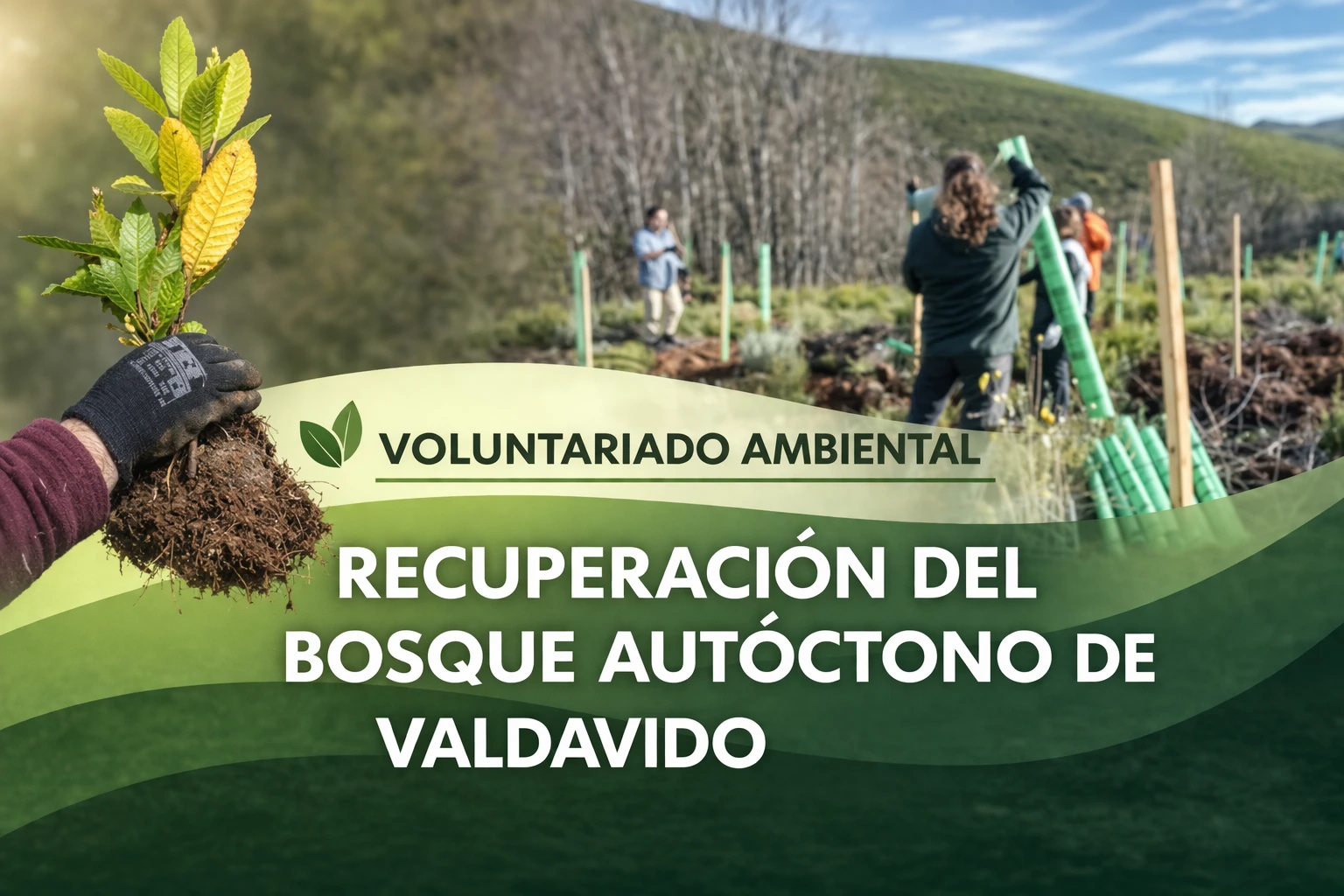 Voluntariado ambiental: recuperación del bosque autóctono de Valdavido (León)
